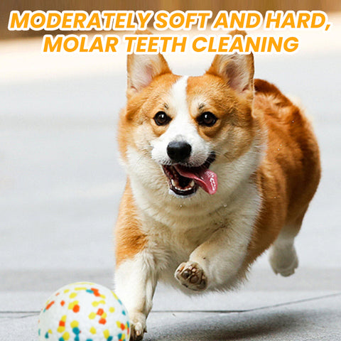 Giocattoli interattivi per cani con palla gonfiabile Jolly