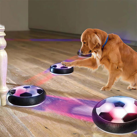 Elettrico interattivo Smart Ball Dog Toys LED Lights